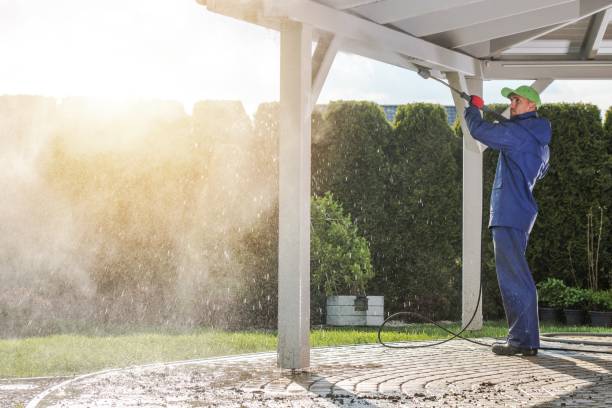 Best Residential Exterior Washing  in Jarales, NM